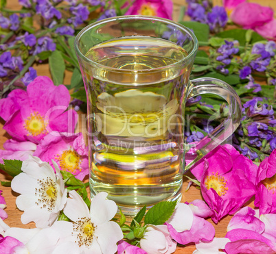 Herbal infusion of Dog rose and Sage