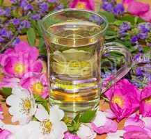 Herbal infusion of Dog rose and Sage