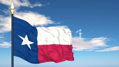 Flag of the state of Texas USA