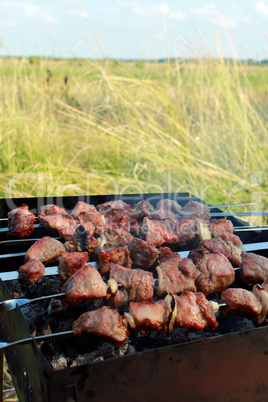 appetizing barbecue on the nature