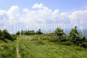 Summer mountain trail