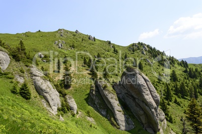 Summer mountain trail