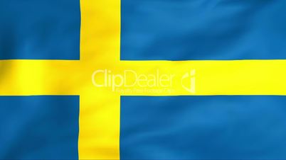 Flag Of Sweden