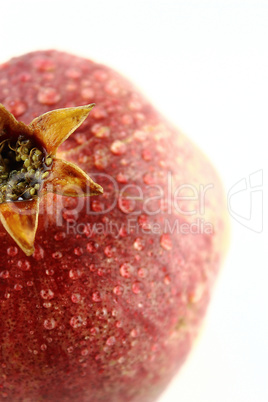 Ripe pomegranate