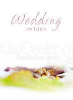 golden rings on a wedding invitation