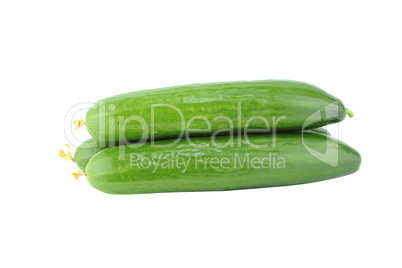 Fresh Cucumber