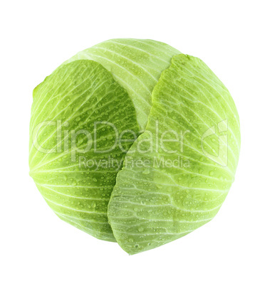 fresh green cabbage