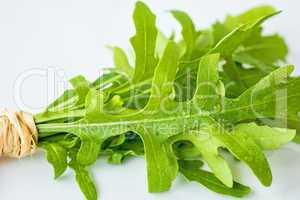 Ruccola