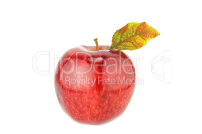 Fresh red apple