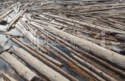 Log Jam of Tree Trunks Floting on a River