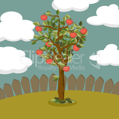apple tree illustration