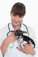 Female vet holding a cute chihuahua