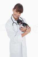 Happy vet holding a cute chihuahua