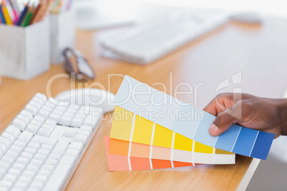 Interior designer holding colour charts