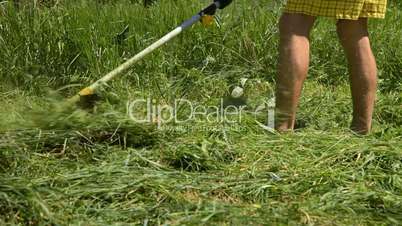 Grass Cutter