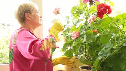 Mature woman caring for flowers in pots