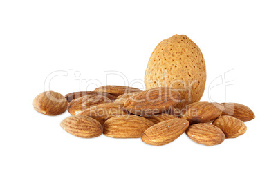 Nüsse - Mandelkerne