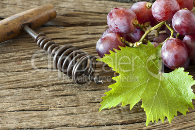Rote Trauben mit Weinlaub