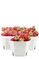 Frische Erdbeeren vom Markt