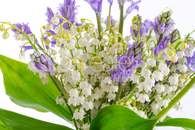 lily of the valley and scilla