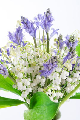 lily of the valley and scilla