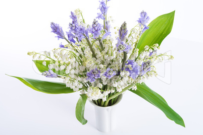 lily of the valley and scilla