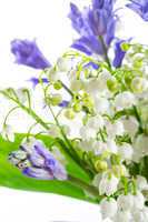 lily of the valley and scilla