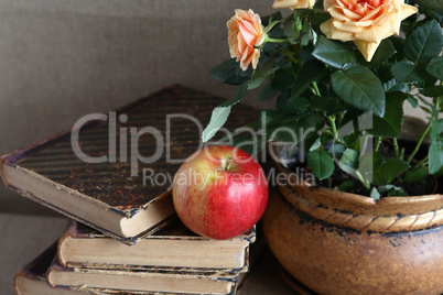 Apple On Book