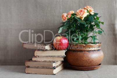 Old Books And Flowers