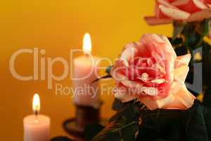 Rose And Candles