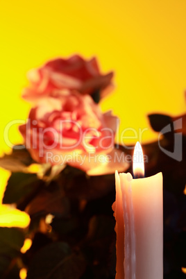 Candle And Flowers