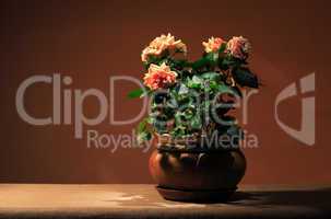 Rose In Flowerpot