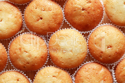 Muffins Background