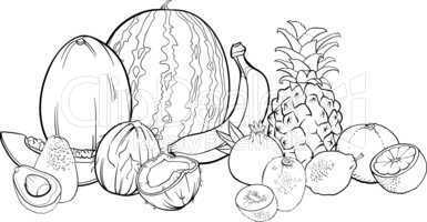 tropical fruits illustration for coloring book