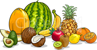 tropical fruits cartoon illustration