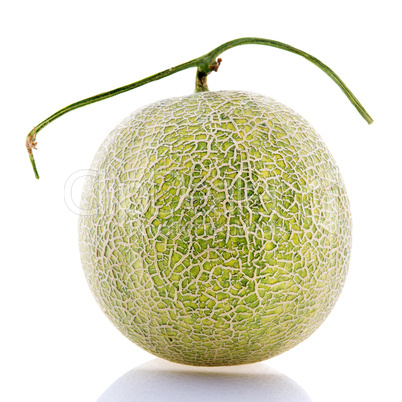 Rock Melon fruit.