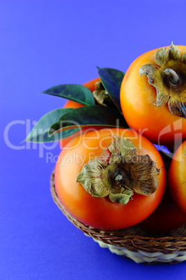 persimmon fruit