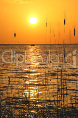 Yucatan Peninsula Beach