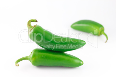 Jalapeno Peppers