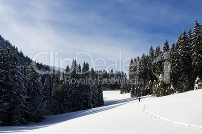 Schneeschuhwandern im Schwarzwald