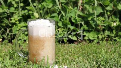 Glass with beer on the green grass