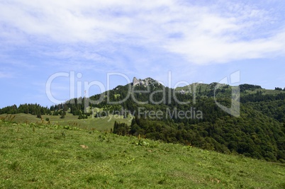 Summer mountain trail