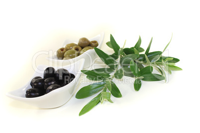frische Oliven