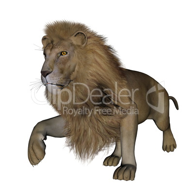 Lion walking - 3D render