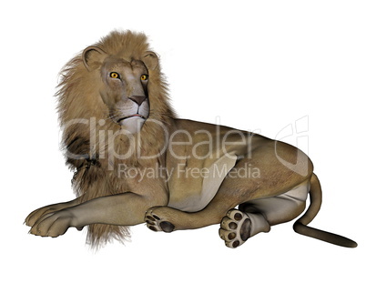 Lion resting - 3D render