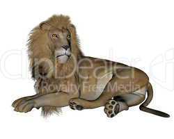 Lion resting - 3D render