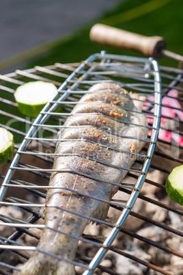 grilled trout