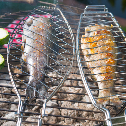 grilled trout