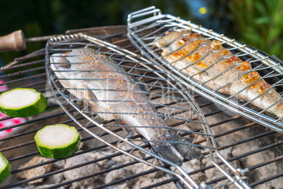 grilled trout