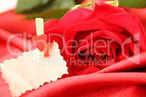 Red rose on satin background
